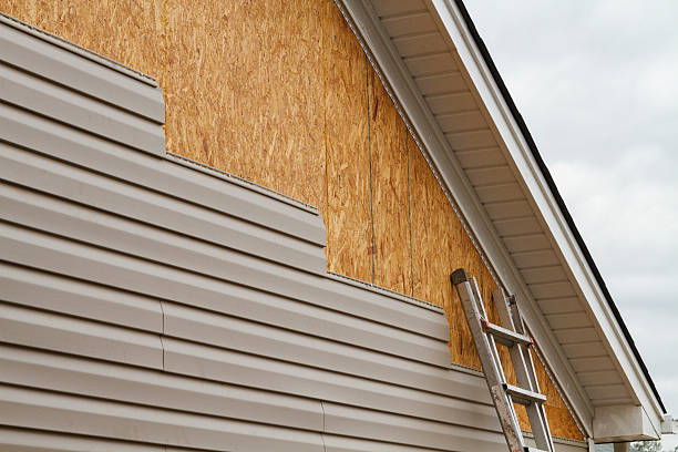 Professional Siding Inspection technician working in Lindenhurst, IL
